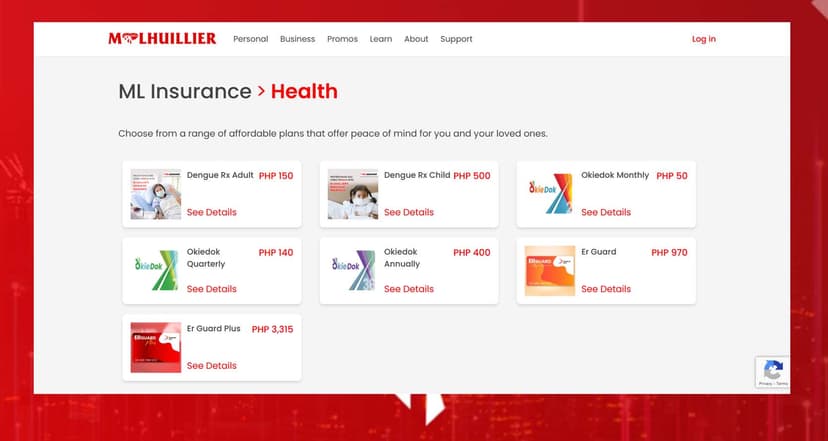 Mlhuillier Insurance